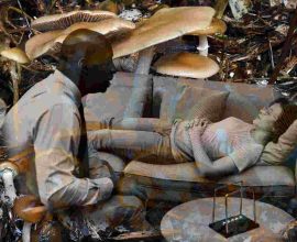 Five Years Later: The Lasting Light of Psychedelic Mushrooms in Healing Depression