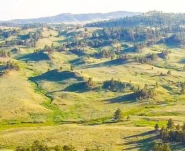 From Billionaire Lockdown to Public Treasure: A National Monument’s Journey to Freedom