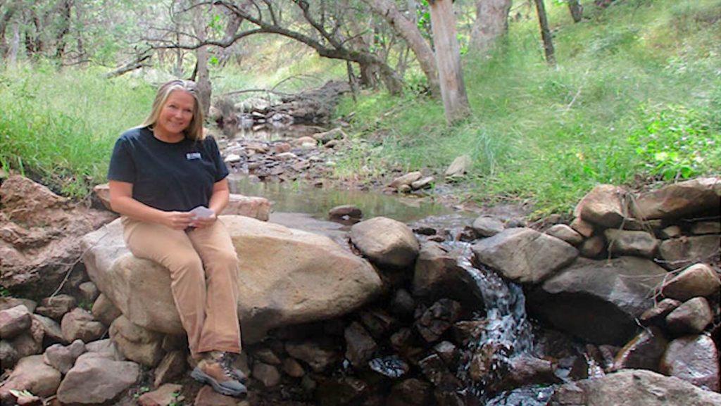 From Desolation to Delight: How One Woman Transformed Arid Steam Beds into a Thriving Oasis Through Nature’s Wisdom