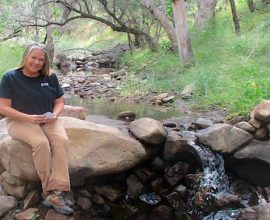 From Desolation to Delight: How One Woman Transformed Arid Steam Beds into a Thriving Oasis Through Nature’s Wisdom