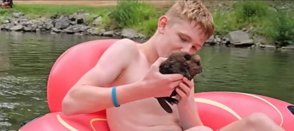 Heartfelt Heroism: Teen's Daring Rescue of Baby Beaver Amidst River Rapids Captures the Essence of Canadiana