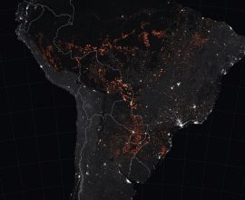 Hope in the Heart of the Amazon: Brazil Celebrates Record 65% Drop in Wildfires, Signaling a Greener Future