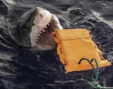 Revolutionary Wetsuit Fabric: Your New Armor Against Shark Bites, Offering Unmatched Protection for Ocean Adventurers!