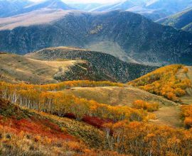 UNESCO Expands Hope: A New Biosphere Reserve the Size of Bolivia to Safeguard 5% of Our Planet's Precious Land