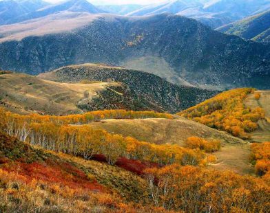 UNESCO Expands Hope: A New Biosphere Reserve the Size of Bolivia to Safeguard 5% of Our Planet's Precious Land