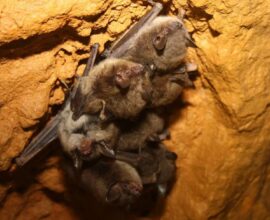 Thriving Together: Celebrating Three Years of Unstoppable Growth and Connection!