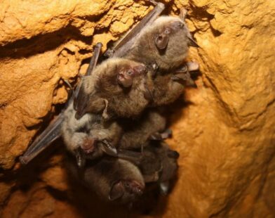 Thriving Together: Celebrating Three Years of Unstoppable Growth and Connection!