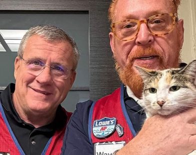 Heartwarming Reunion: Beloved Lowe's Store Cat Discovered Safe in Neighboring State After a Trail of Clues Unfolds