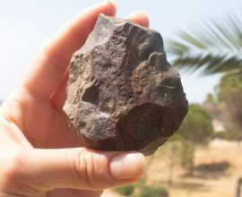 Rediscovering the Past: Female Archaeologists Unveil Ancient Land Bridge That Could Transform Our Understanding of European History