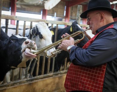 Farmers Harmonize with Nature: Jazz Band Serenades Cows to Boost Milk Production – A Heartwarming Listen!