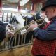 Farmers Harmonize with Nature: Jazz Band Serenades Cows to Boost Milk Production – A Heartwarming Listen!