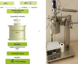 Empowered Women Transform Waste into Wealth: An Arab Team's Revolutionary Journey to Combat Climate Change with Coffee and Plastic
