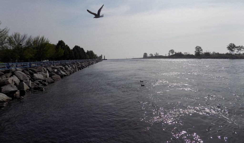 From Contamination to Celebration: How 40 Years and $84 Million Revitalized Lake Muskegon into a Thriving Gem