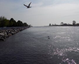 From Contamination to Celebration: How 40 Years and $84 Million Revitalized Lake Muskegon into a Thriving Gem