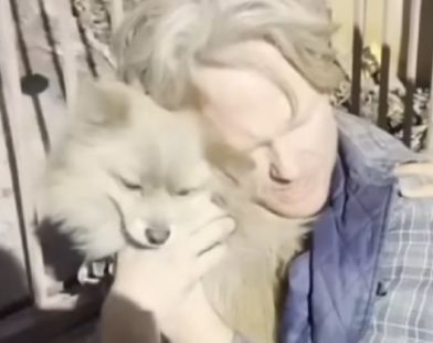 From Viral Sensation to Lifesaving Law: How One Dog Video is Revolutionizing Pet Emergency Care