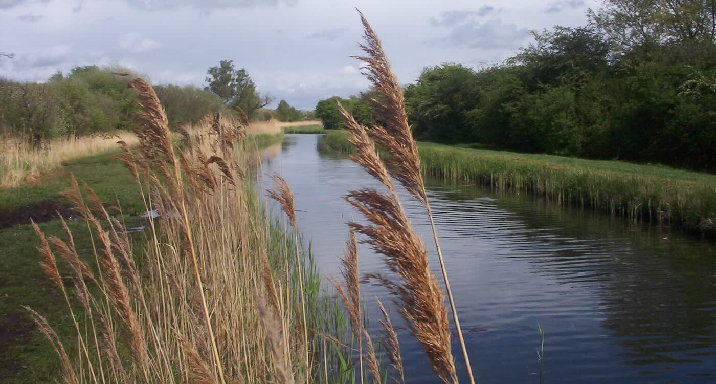 Wicken Fen National Nature Reserve