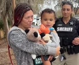 Heart of a Hero: Loyal Pit Bull Vigilantly Guards Missing Child Through the Night Until Help Arrives