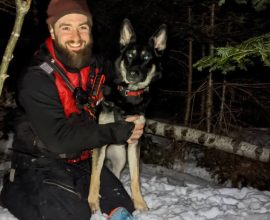 Heroic German Shepherd Leads the Way: Toddler Found Safe After Heart-Stopping Hours in the Frigid Woods