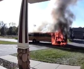 Heroic Mom Races into Danger: How One Woman's Bravery Rescued 22 Kids from a Fiery School Bus