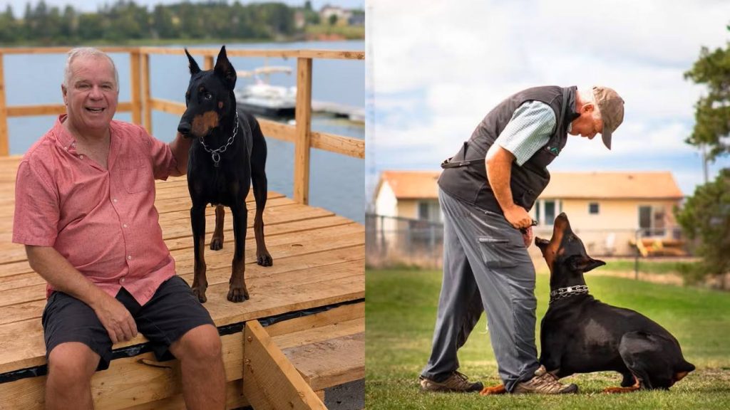 Heroic Pup Named Dog of the Year After Fearlessly Saving Owner from Bear Attack: A Tale of Unbreakable Loyalty