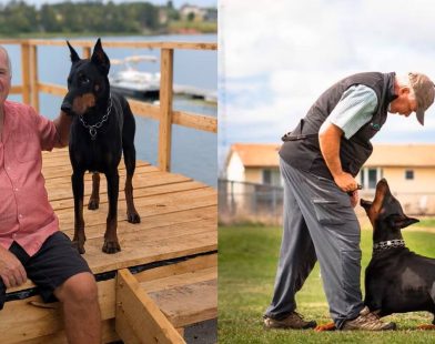 Heroic Pup Named Dog of the Year After Fearlessly Saving Owner from Bear Attack: A Tale of Unbreakable Loyalty