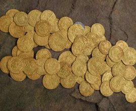 Hidden History: Family Unearths Rare Tudor Treasure in Backyard, Transforming Their Lives Overnight