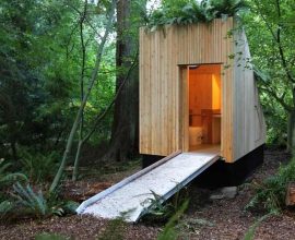 Nature’s Miracle: University Garden Unveils Odorless Mushroom-Powered Outhouse Transforming Waste into Life