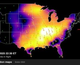 Nature's Spectacle: A Stunning Surge of Bird Migration Lights Up the Night Sky in a Once-in-a-Lifetime 'Perfect Storm'