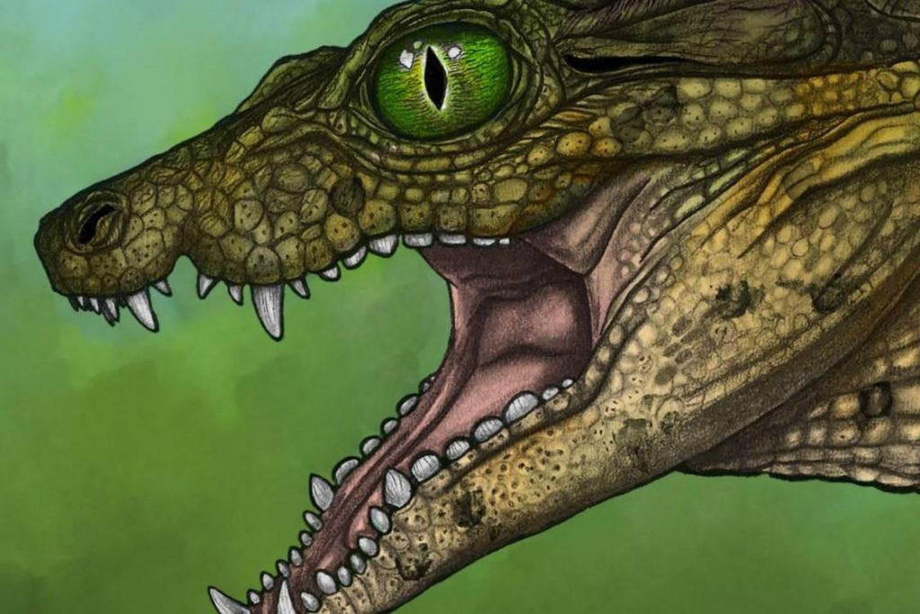 Nature's Surprising Herbivore: Meet the Newly Discovered Croc That Defies the Predator Stereotype!