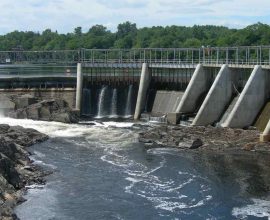 Reviving Rivers: Maine's Bold Step to Reconnect Nature and Reignite Salmon, Herring, and Sturgeon Lifecycles