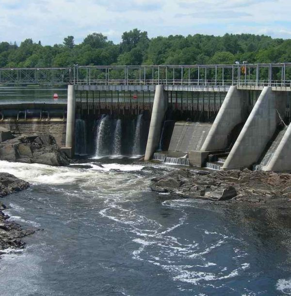 Reviving Rivers: Maine's Bold Step to Reconnect Nature and Reignite Salmon, Herring, and Sturgeon Lifecycles