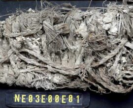 Time's Treasures: 650-Year-Old Shoe Discovered in Vulture Nest, Unveiling a World of Lost Stories