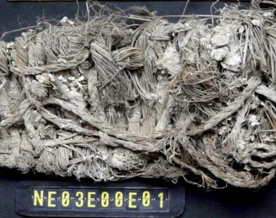 Time's Treasures: 650-Year-Old Shoe Discovered in Vulture Nest, Unveiling a World of Lost Stories