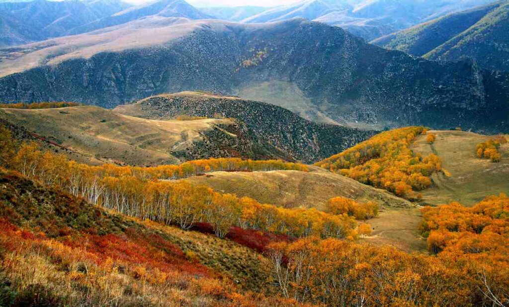 Daqingshan Biosphere Reserve