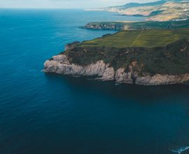 Macronesia’s Sanctuary: A Heartfelt Shield for Whale Habitats and the Atlantic’s Treasured Islands