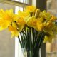 From Grief to Grace: A Loving Wife Transforms Heartbreak into Hope with a Daffodil-Lined Memorial for Her Late Husband