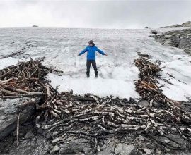 Whispers of the Past: Ancient Reindeer Traps and Hunting Tools Resurrected from Norway's Icy Embrace