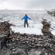 Whispers of the Past: Ancient Reindeer Traps and Hunting Tools Resurrected from Norway's Icy Embrace