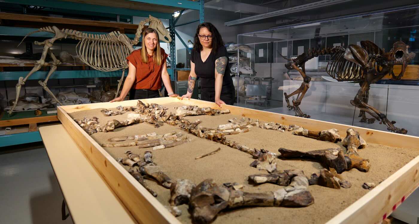 Marisa Gilbert left and Dr Danielle Fraser with fossil of Arctic rhino Epiaceratherium itjilik - Canadian Museum of Nature