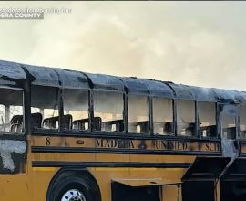 Bravery in the Fields: Farmworkers Become Heroes, Saving 20 Children from Flames in California Bus Inferno