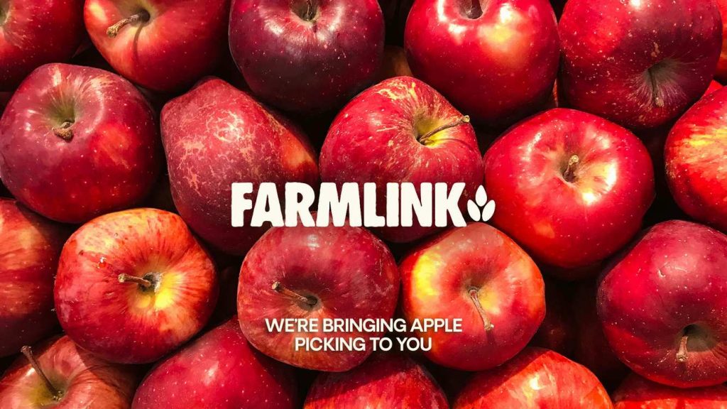 Discover Orchard Magic in the City: Enjoy Free Apples and Warm Cider at NYC's Enchanting Pop-Up Apple Orchard!