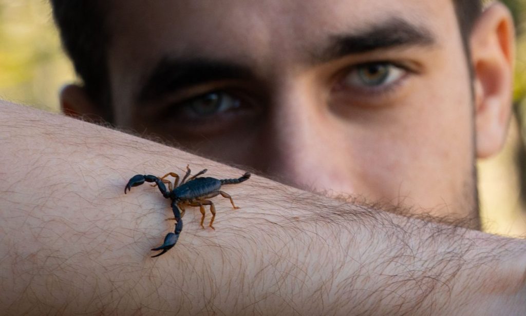 From the Depths of Danger: Scorpion Venom Holds Promise for a Revolutionary Breast Cancer Breakthrough