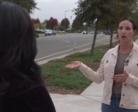 Love in Action: Brave Grandma Sacrifices Herself to Save Granddaughter from Tragic Accident