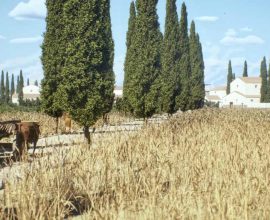 Step Back in Time: Navigate the Roman Empire's Iconic Roads with the New Interactive Google Maps!