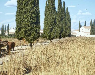 Step Back in Time: Navigate the Roman Empire's Iconic Roads with the New Interactive Google Maps!