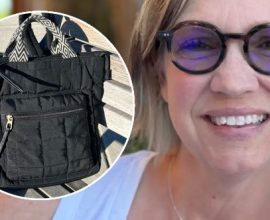 Unlikely Heroes: How Two Fearless Women Stood Up to Save the Day from a Purse Snatcher