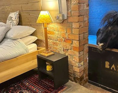 Unlock Joy: Transform Your Stay with Airbnb's Heartwarming Miniature Horse Experience!