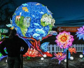 Enchanting Lanterns Illuminate December Nights in a Heartfelt Mile-Long Tribute to Nature's Wonders